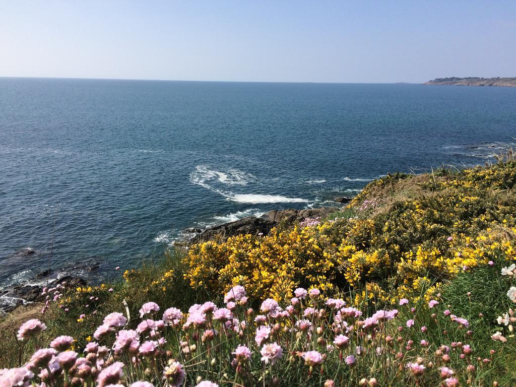 לינה וארוחת בוקר Moëlan-sur-Mer La Belle Relax - Calme Et Tranquillite Assures - 2 Personnes מראה חיצוני תמונה
