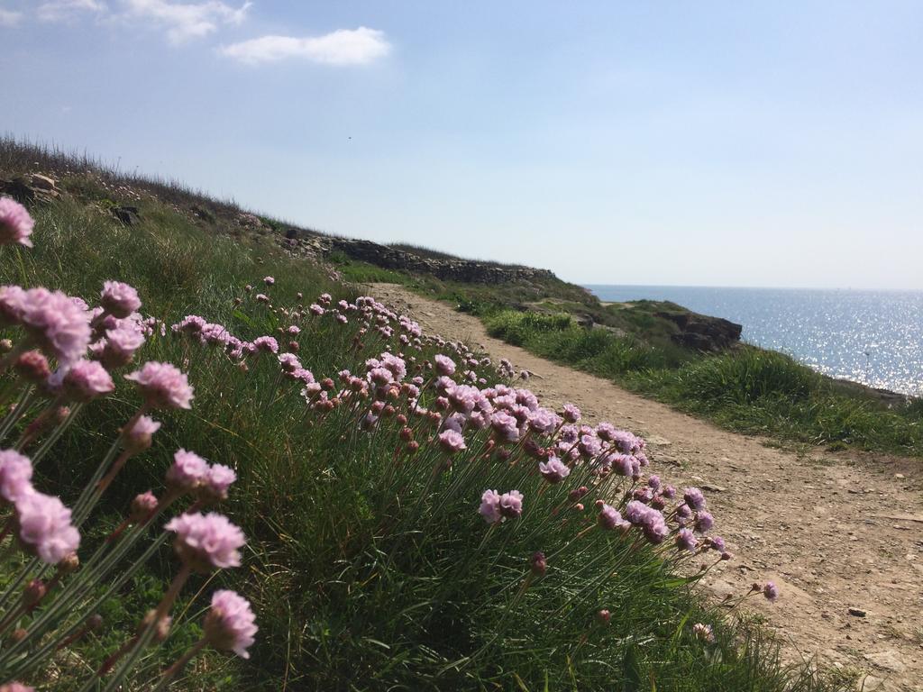 לינה וארוחת בוקר Moëlan-sur-Mer La Belle Relax - Calme Et Tranquillite Assures - 2 Personnes מראה חיצוני תמונה