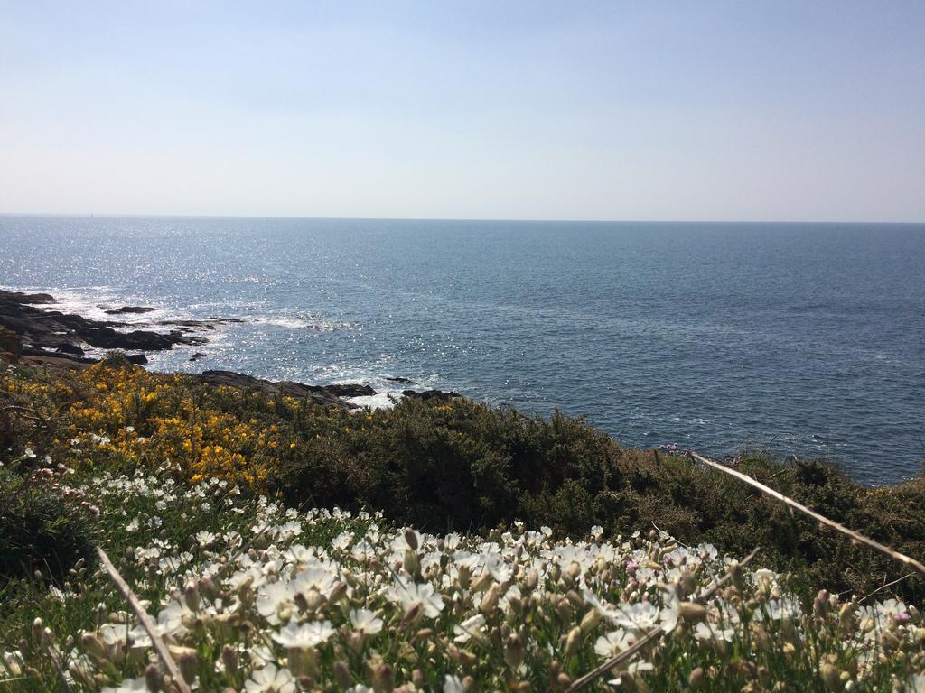 לינה וארוחת בוקר Moëlan-sur-Mer La Belle Relax - Calme Et Tranquillite Assures - 2 Personnes מראה חיצוני תמונה