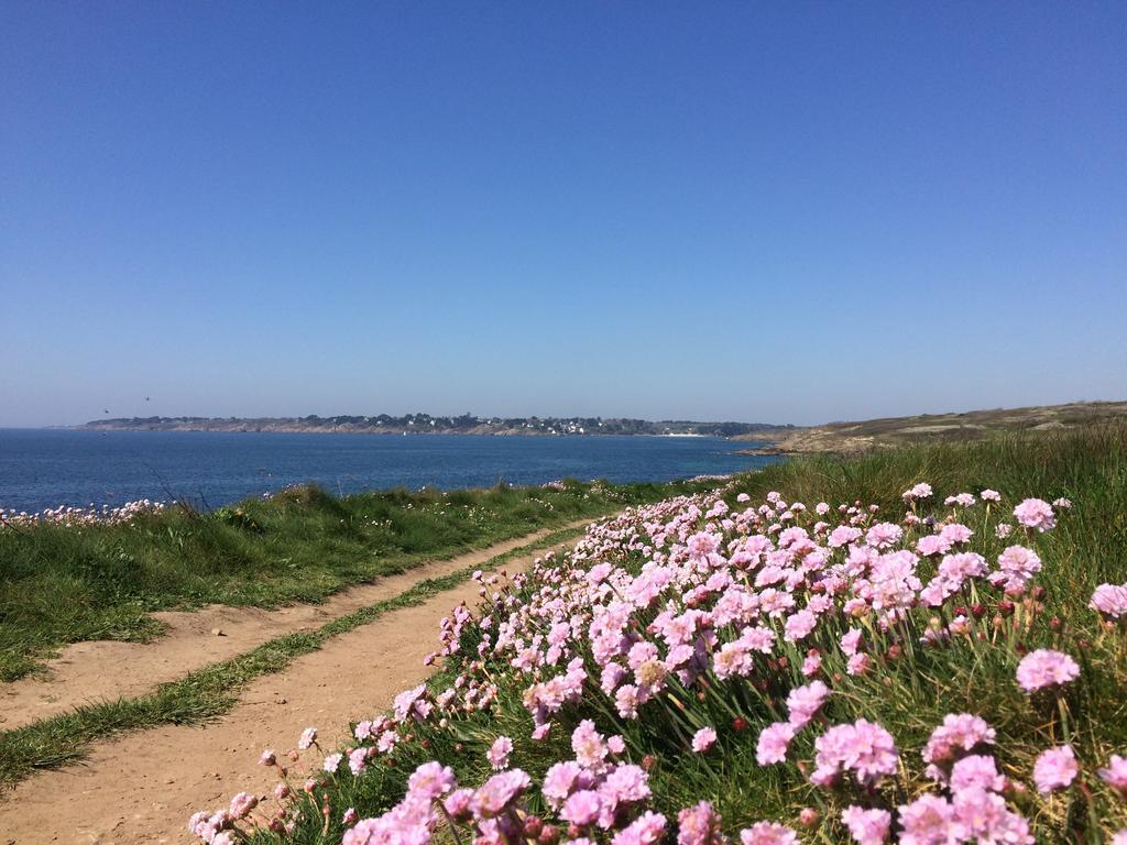 לינה וארוחת בוקר Moëlan-sur-Mer La Belle Relax - Calme Et Tranquillite Assures - 2 Personnes מראה חיצוני תמונה