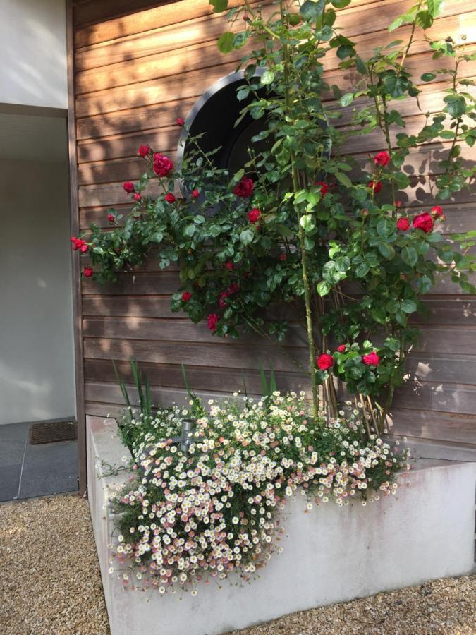 לינה וארוחת בוקר Moëlan-sur-Mer La Belle Relax - Calme Et Tranquillite Assures - 2 Personnes מראה חיצוני תמונה